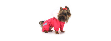 Знижка на одяг для тварин 20%