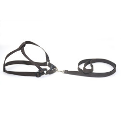 Комплект капроновий 1,0 см Лорік малий для тварин Zoo-hunt коричневий