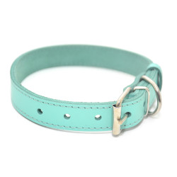 Нашийник для собак Zoo-hunt шкіряний Весна аквамарин  1,2/20-25 см