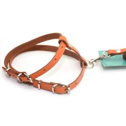 Комплект поводок і шлея для котів і собак Zoo-hunt КІТ шкіра рудий