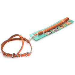 Комплект поводок і шлея для котів і собак Zoo-hunt КІТ шкіра рудий