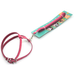 Комплект поводок і шлея для котів і собак Zoo-hunt КІТ шкіра рожевий