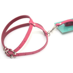 Комплект поводок і шлея для котів і собак Zoo-hunt КІТ шкіра рожевий