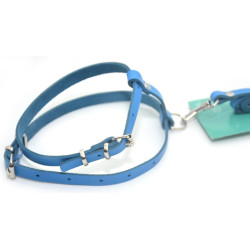 Комплект поводок і шлея для котів і собак Zoo-hunt КІТ шкіра синій