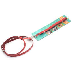 Комплект поводок і шлея для котів і собак Zoo-hunt КІТ шкіра червоний