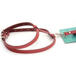 Комплект поводок і шлея для котів і собак Zoo-hunt КІТ шкіра червоний