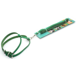 Комплект поводок і шлея для котів і собак Zoo-hunt КІТ шкіра зелений