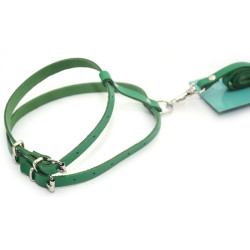 Комплект поводок і шлея для котів і собак Zoo-hunt КІТ шкіра зелений