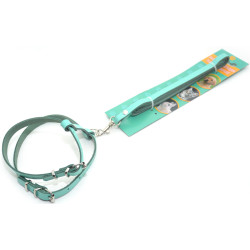 Комплект поводок і шлея для котів і собак Zoo-hunt КІТ шкіра аквамарин