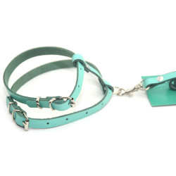 Комплект поводок і шлея для котів і собак Zoo-hunt КІТ шкіра аквамарин