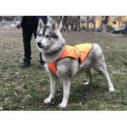 Накидка попона для собак Zoo-hunt мала помаранчева 1025