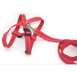 Комплект для собак і котів Zoo-hunt капроновий світловідбиваючий Неон 1,0 см червоний