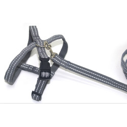 Комплект для собак і котів Zoo-hunt капроновий світловідбиваючий Неон 1,0 см сірий