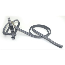 Комплект для собак і котів Zoo-hunt капроновий світловідбиваючий Неон 1,0 см сірий