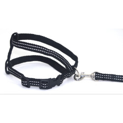 Комплект для собак і котів Zoo-hunt капроновий світловідбиваючий Неон 1,0 см чорний