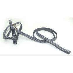 Комплект для собак і котів Zoo-hunt капроновий світловідбиваючий Неон 1,6 см сірий