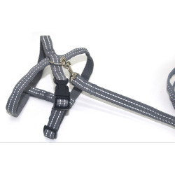 Комплект для собак і котів Zoo-hunt капроновий світловідбиваючий Неон 1,6 см сірий