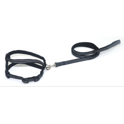 Комплект для собак і котів Zoo-hunt капроновий світловідбиваючий Неон 2,0 см чорний