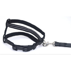 Комплект для собак і котів Zoo-hunt капроновий світловідбиваючий Неон 2,0 см чорний