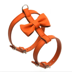 Нагрудник для малих собак Zoo-hunt Метелик №1 шкіра помаранчевий