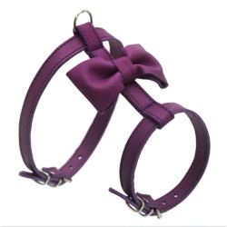 Нагрудник для малих собак Zoo-hunt Метелик №1 шкіра фіолетовий