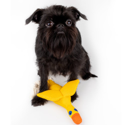 Іграшка для Собак Barksi дентал з пищалкою Качка Жовта (3446)