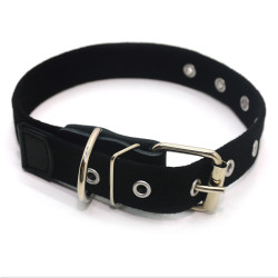 Нашийник для собак Zoo-hunt брезентовий 2,5 см 24-44 см чорний
