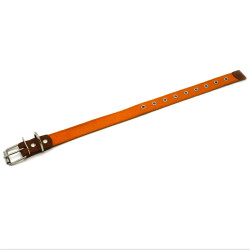 Нашийник для собак Zoo-hunt брезентовий 2,5 см 24-44 см помаранчевий