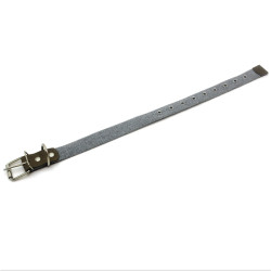 Нашийник для собак Zoo-hunt брезентовий 2,5 см 24-44 см сірий