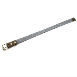 Нашийник для собак Zoo-hunt брезентовий 2,5 см 24-44 см сірий