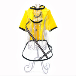 Вітровка плащ для собак прозора Zoo-hunt жовта  міні 21х27 см