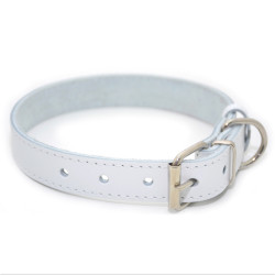Нашийник для собак Zoo-hunt шкіряний Весна білий  1,2/20-25 см