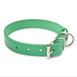Нашийник для собак Zoo-hunt шкіряний Весна зелений  1,2/20-25 см
