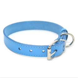 Нашийник для собак Zoo-hunt шкіряний Весна блакитний  1,2/20-25 см