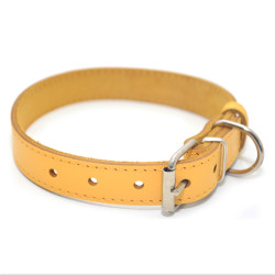 Нашийник для собак Zoo-hunt шкіряний Весна жовтий  1,2/20-25 см