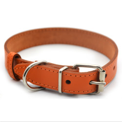 Нашийник для собак Zoo-hunt шкіряний Весна помаранчевий  1,2/20-25 см