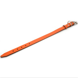 Нашийник для собак Zoo-hunt шкіряний Весна помаранчевий  1,2/20-25 см