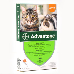 Краплі від бліх та кліщів Bayer Advantage 40 для котів до 4 кг  1 піпетка