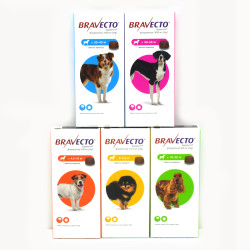 Жувальна таблетка Bravecto (Бравекто) від бліх і кліщів для собак  2-4,5